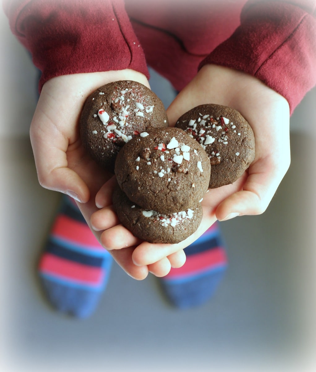 Double Chocolate Peppermint Cookies (Vegan + Gluten Free) | gardeninthekitchen.com