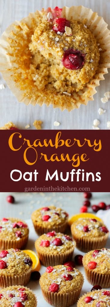 Cranberry Orange Oat Muffins