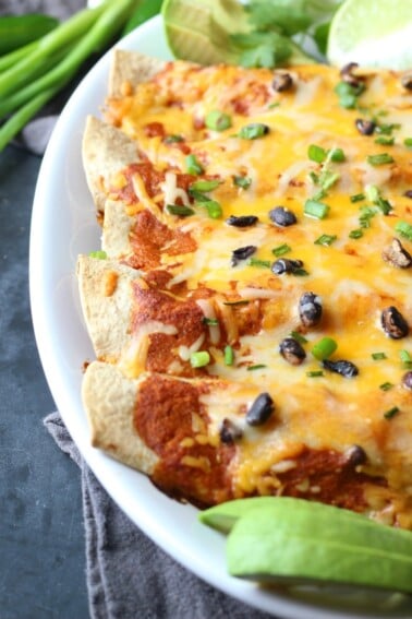 Black Bean Enchilada (vegetarian) 