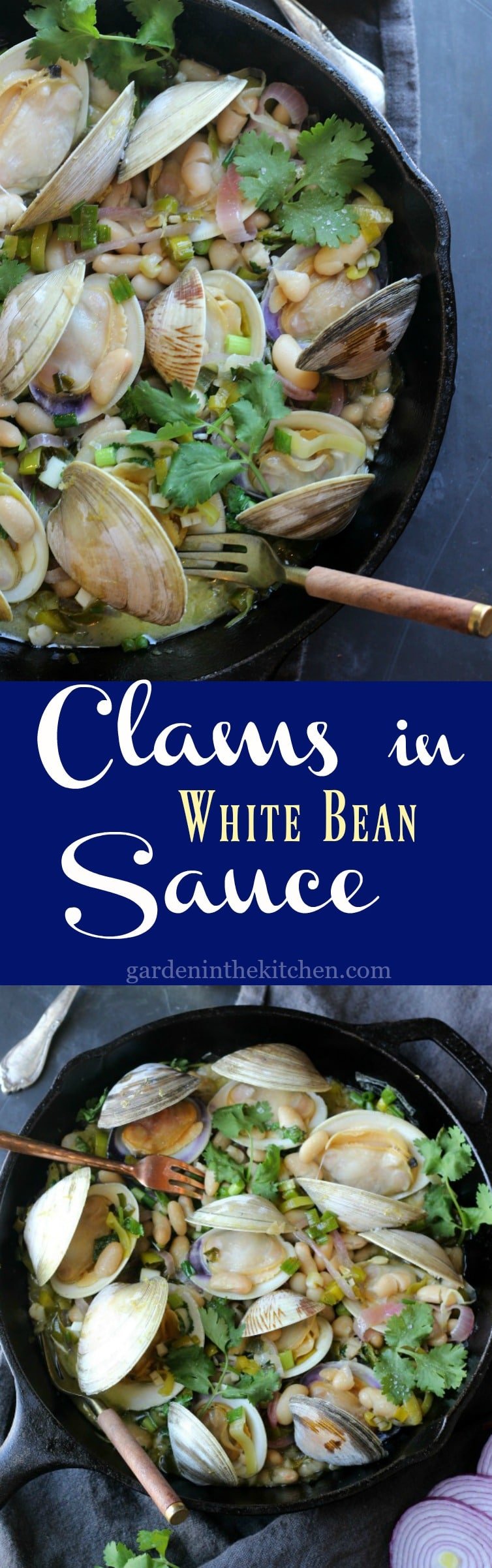 Clam in White Bean Sauce | gardeninthekitchen.com