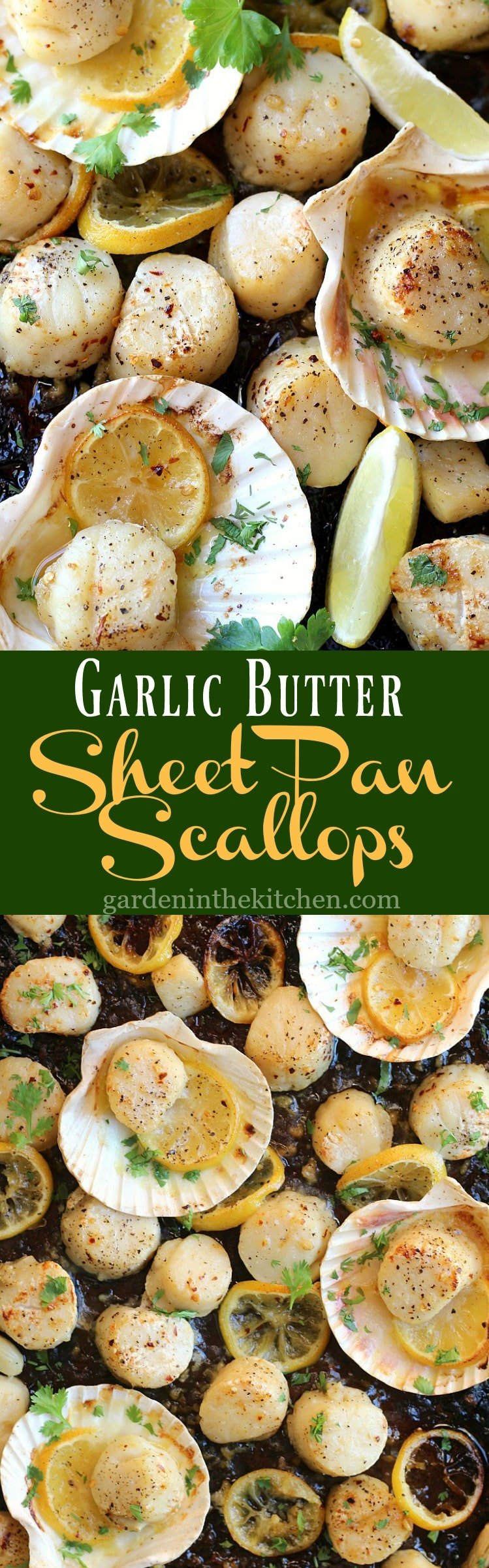 Sheet Pan Garlic Butter Scallops 