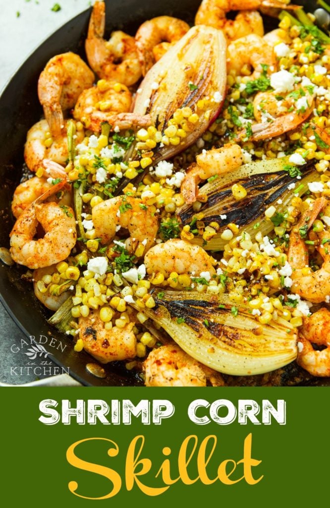 Black cast iron skillet with jumbo shrimp, grilled onions, corn, cilantro and feta cheese. 