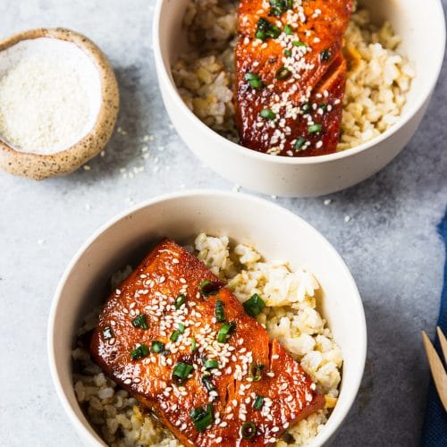 Omni Pro – Roasted Teriyaki Salmon – Instant Pot Recipes