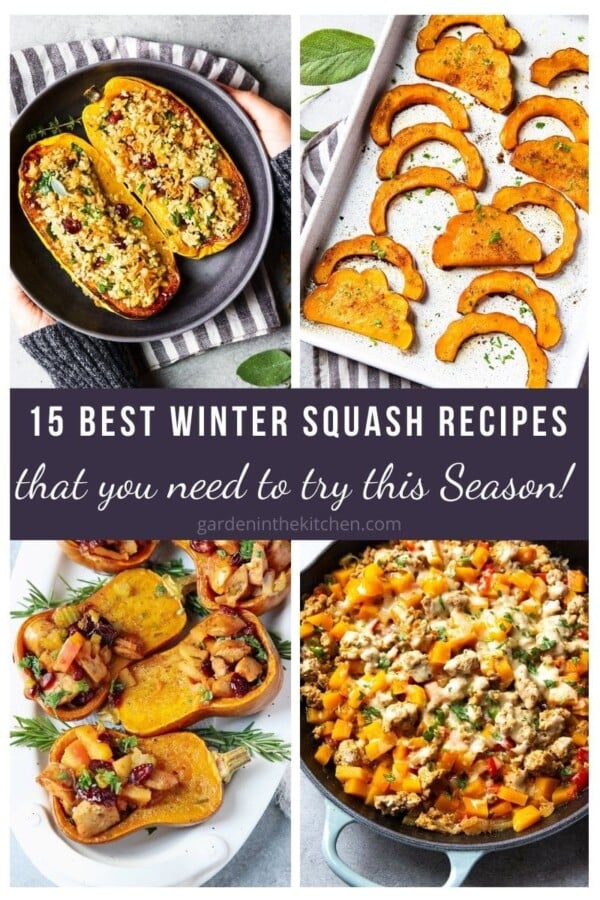winter squash recipe