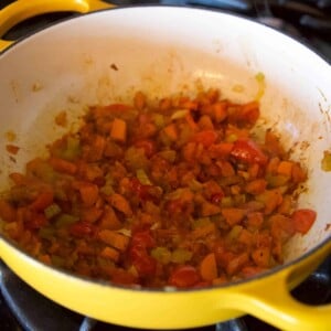 vegetarian stew with okra