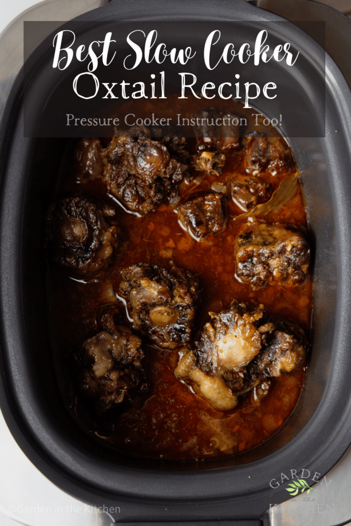 Oxtails in slow cooker. Oxtails braised in red wine and cooked slowly. Tender meat falling off the bone. 