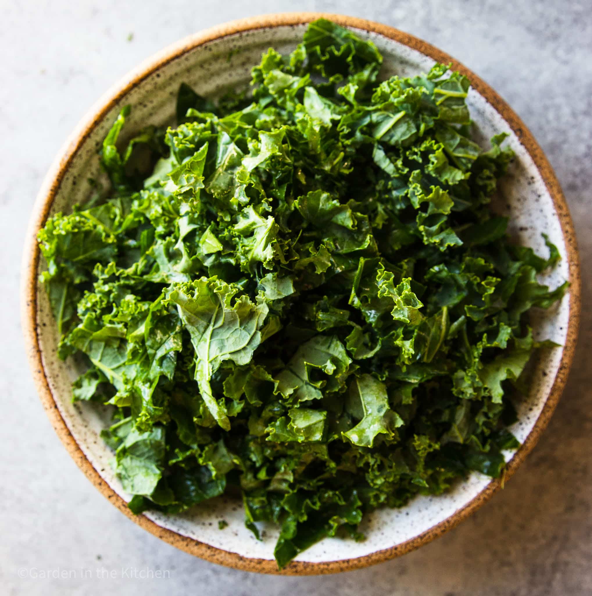Raw kale in a round bowl.