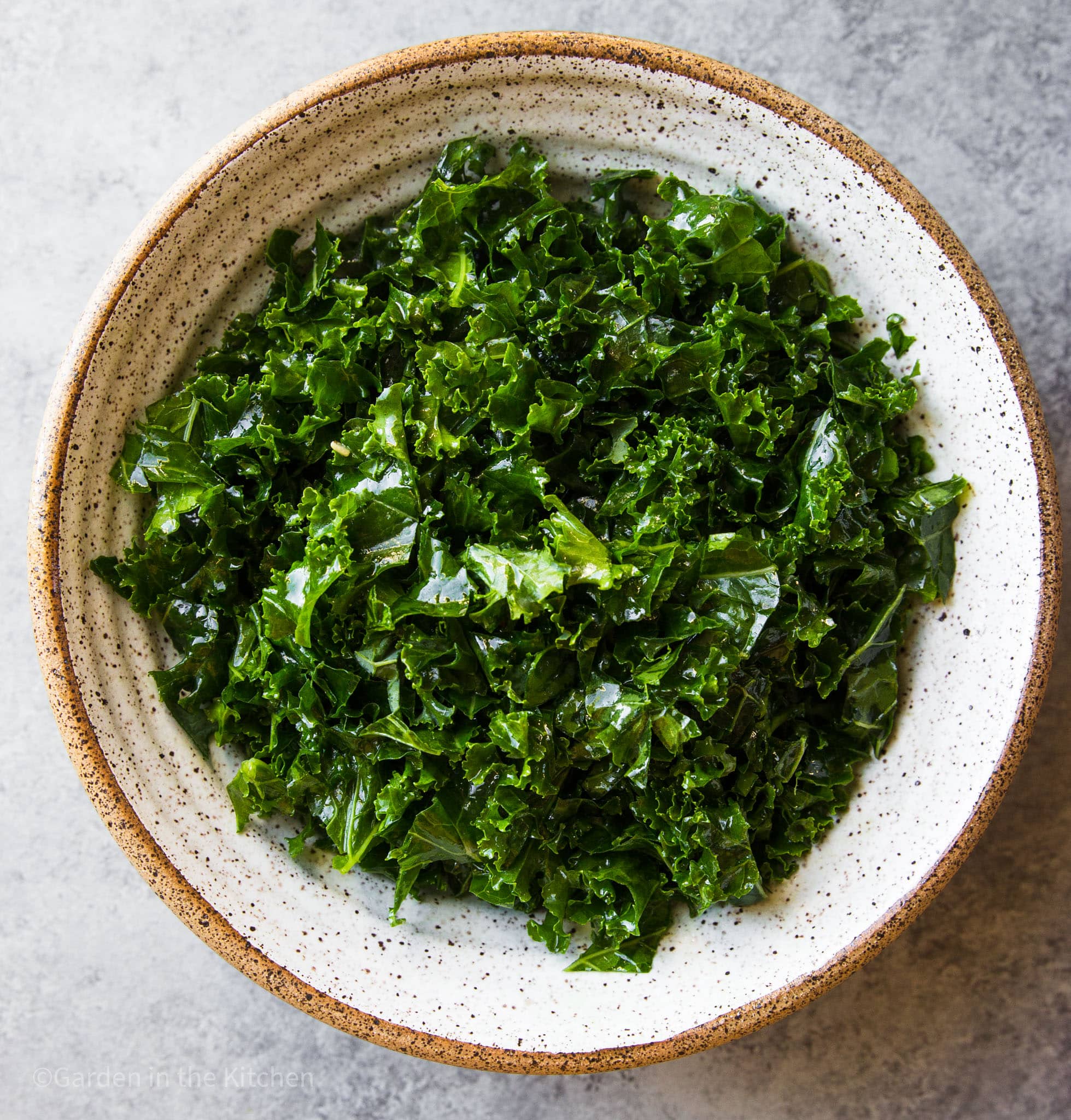 Seasoned and massaged kale in a round bowl. 