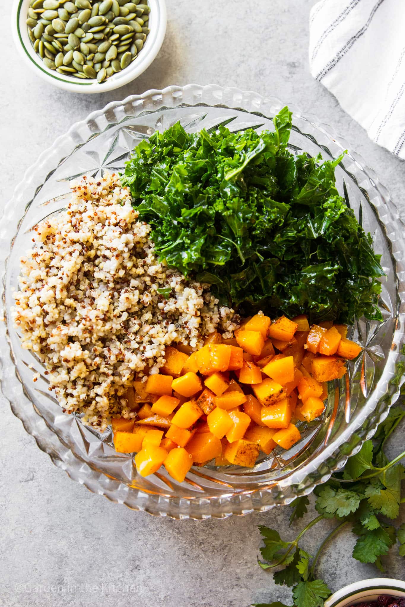 Kale, quinoa and cubed butternut squash in a clear round salad bowl. A small bowl with pumpkin seeds and fresh cilantro on the table. 