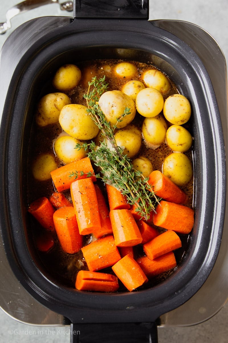 Baby potatoes, carrots, fresh thyme and beef broth in a black crockpot.