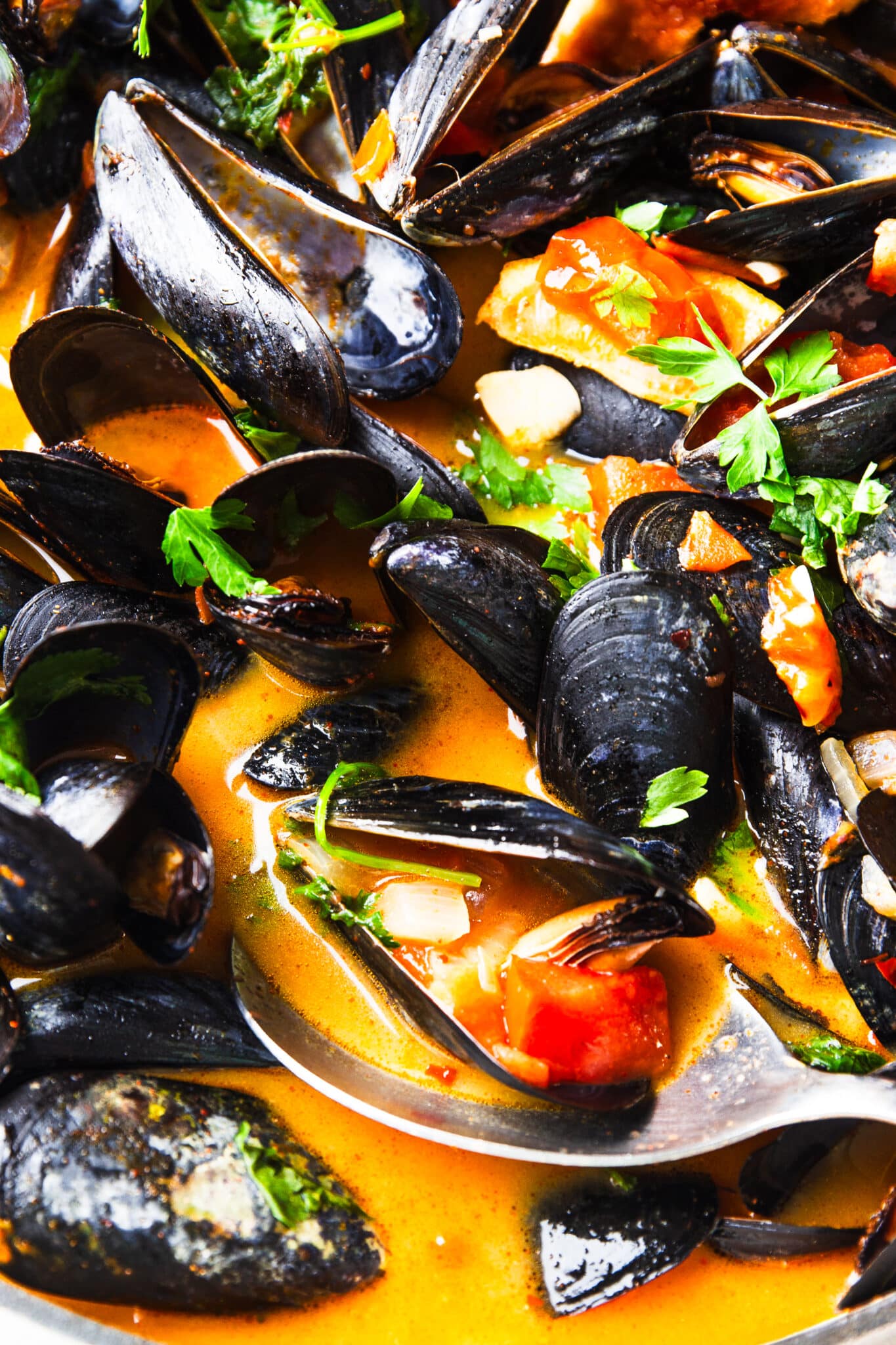 mussels in tomato coconut broth